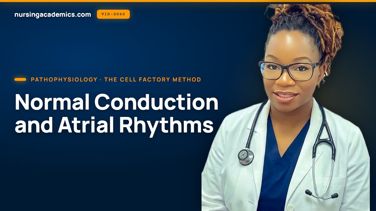 Normal Conduction and Atrial Rhythms